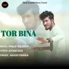 About TOR BINA Song